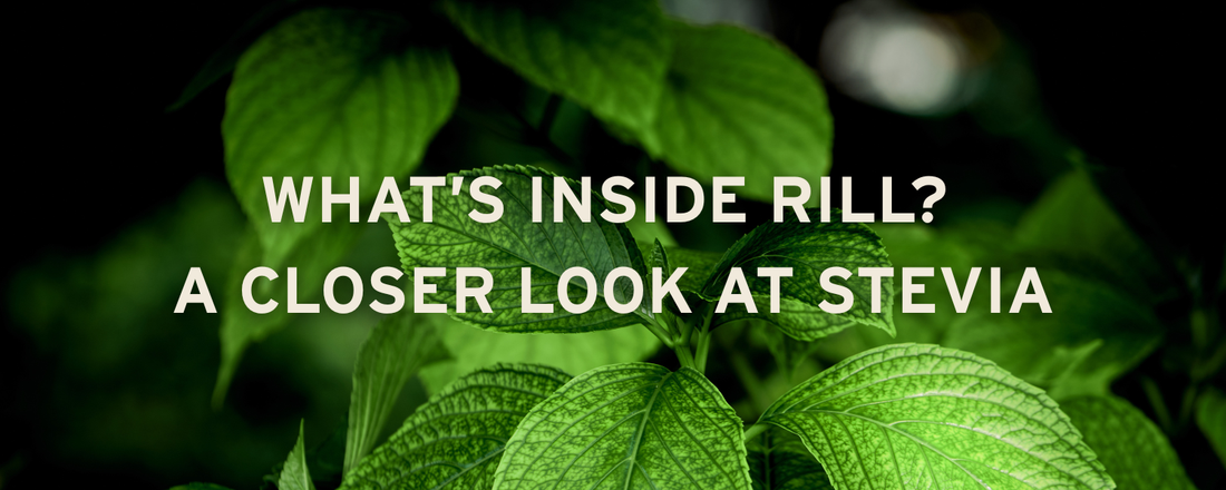 WHAT'S INSIDE RILL? A CLOSER LOOK AT STEVIA